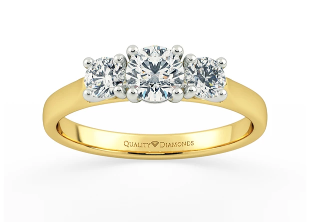 Round Brilliant Trilogy Noa Diamond Ring in 9K Yellow Gold