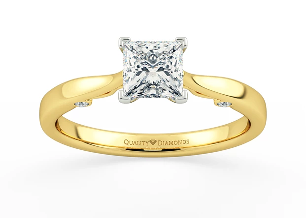 Princess Aracelli Diamond Ring in 9K Yellow Gold